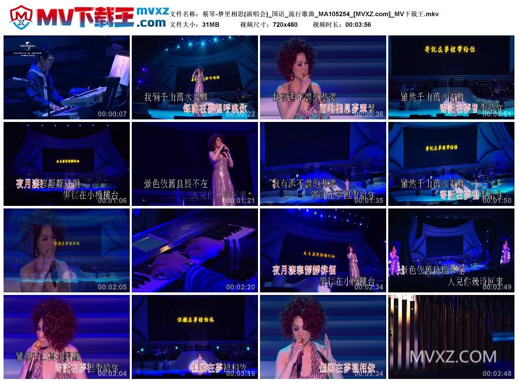 蔡琴-梦里相思(演唱会)_国语_流行歌曲_MA105254